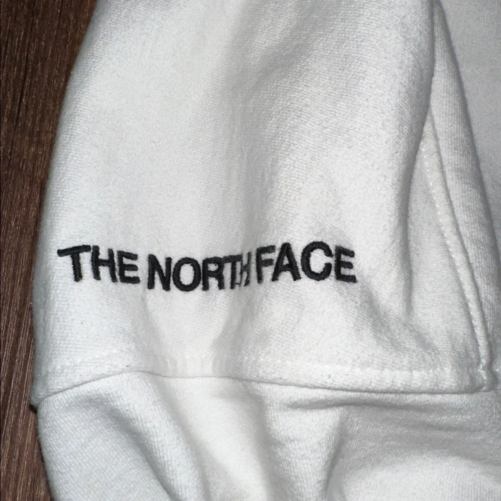 The North Face Men's Geary Pullover Hoodie size‎ L *stained-see photos
